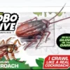 Robo alive torakka