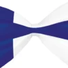 Rusetti suomi