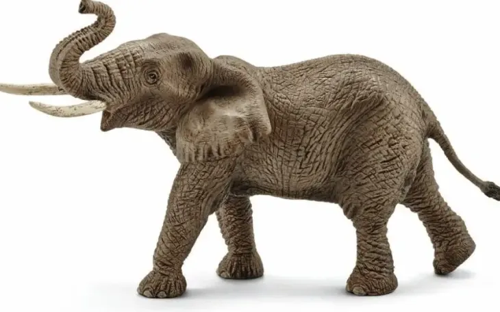 Schleich 14762 afrikannorsu uros