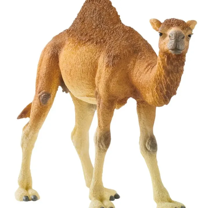 Schleich 14832 dromedaari