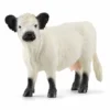 Schleich 13960 galloway lehmä