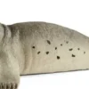 Schleich 14801 hylje