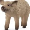 Schleich 14893 mangalitzaporsas