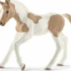 Schleich 13886 paint hevonen varsa
