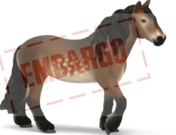 Schleich pohjois-ruotsalainen kylmäverinen