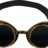steampunk lasit