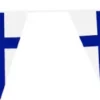 Suomi viiri 10m