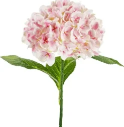 Tekokukka hortensia premium 69 cm