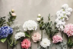 Tekokukka hortensia premium 69 cm