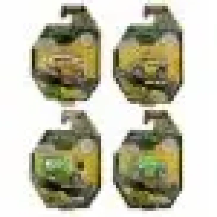 Tmnt shell riders leonardo pull back