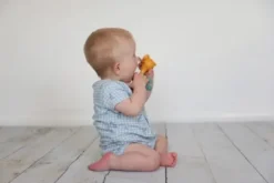 Tolo bio hassu lintu