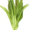 Tulppaanikimppu vaaleanpunainen 39 cm
